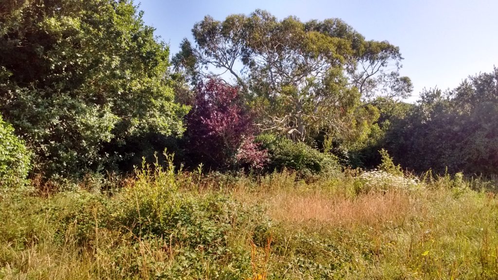 Terrain à Locmaria-Plouzane 29280 756m2 155000 € - GLB-26-10-25-3