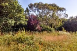 Terrain à Locmaria-Plouzane 29280 756m2 155000 € - GLB-26-09-28-3