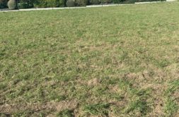 Terrain à Plouzevede 29440 490m2 35500 € - RGOB-26-07-28-4