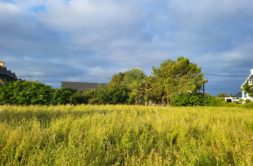 Terrain à Penmarch 29760 500m2 65400 € - ISE-26-08-03-6