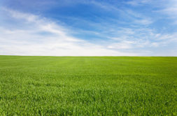 Terrain à Combrit 29120 430m2 137000 € - ISE-26-08-03-1