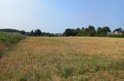 Terrain à Pleudihen-sur-Rance 22690 363m2 78000 € - GESC-26-09-01-25