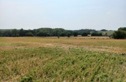 Terrain à Pleudihen-sur-Rance 22690 322m2 72600 € - GESC-26-08-10-22