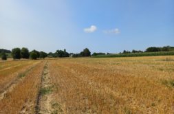 Terrain à Pleudihen-sur-Rance 22690 330m2 75000 € - GESC-26-08-10-29