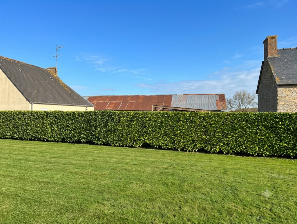 Terrain à Languenan 22130 468m2 50000 € - GESC-26-09-08-31