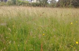 Terrain à Plouzane 29280 410m2 95000 € - GLB-26-08-26-1