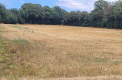 Terrain à PLOUIGNEAU 29610 480m2 50000 € - VVAN-26-08-26-2