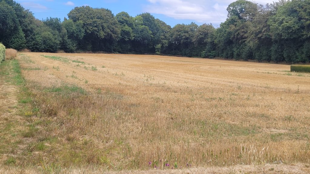 Terrain à Plouigneau 29610 461m2 44500 € - VVAN-26-08-26-1