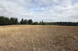 Terrain à Vieille-Toulouse 31320 5000m2 450000 € - LOCA-26-09-01-1