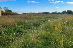 Terrain à Plouer-sur-Rance 22490 580m2 127599 € - GESC-26-09-08-15