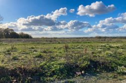 Terrain à Pleurtuit 35730 438m2 147000 € - GESC-26-09-22-9