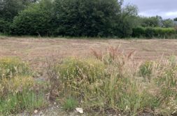 Terrain à Plouescat 29430 740m2 148500 € - RGOB-26-09-09-4