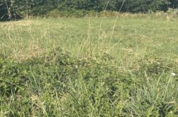 Terrain à Ergue-Gaberic 29500 1200m2 104220 € - ATRIQ-26-09-09-1