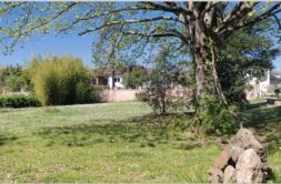 Terrain à Bessieres 31660 800m2 110000 € - NIMA-26-09-15-1