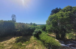 Terrain à Mons 31280 1100m2 210000 € - NIMA-26-09-15-7