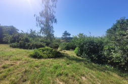 Terrain à Mons 31280 900m2 190000 € - NIMA-26-09-15-6