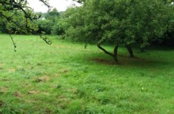 Terrain à Plurien 22240 469m2 123050 € - ASCO-26-10-22-6