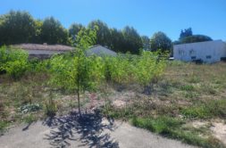Terrain à Saint-Augustin 17570 1004m2 149900 € - FLBO-26-09-16-40