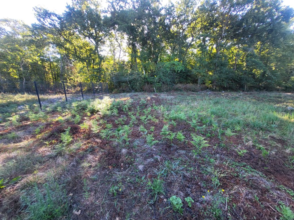 Terrain à Etaules 17750 1203m2 135000 € - FLBO-26-09-16-44
