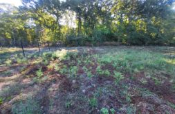 Terrain à Etaules 17750 1203m2 135000 € - FLBO-26-09-16-44