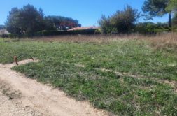 Terrain à Saint-Augustin 17570 385m2 80500 € - FLBO-26-09-16-45