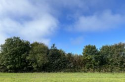Terrain à Guipavas 29490 650m2 162000 € - JPD-26-09-18-2
