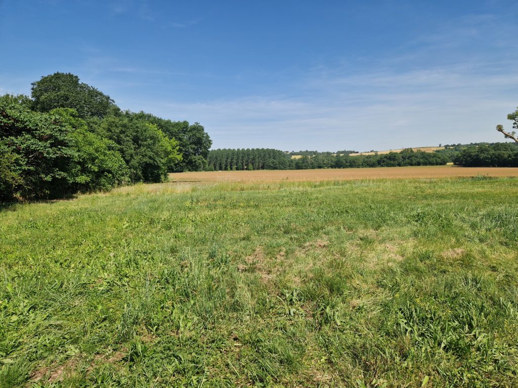 Terrain à Fontenilles 31470 1364m2 144500 € - VIMA-26-10-12-21