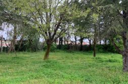 Terrain à La-Chevallerais 44810 542m2 99000 € - BF-26-09-18-1