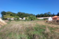 Terrain à Saujon 17600 515m2 64000 € - FLBO-26-09-21-2