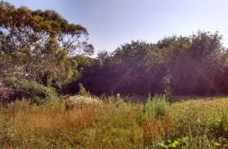 Terrain à Saint-Renan 29290 370m2 79000 € - GLB-26-09-28-2