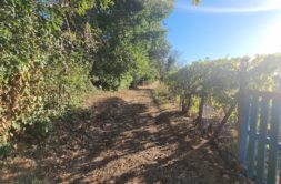 Terrain à Tremeur 22250 1000m2 49000 € - MASO-26-10-01-51