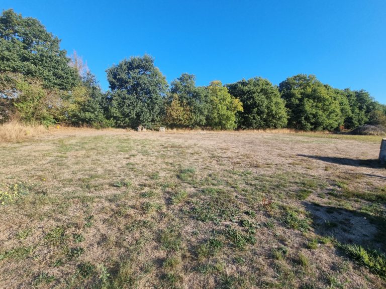 Terrain à Tremeur 22250 1000m2 49000 € - MASO-26-10-22-8