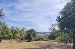 Terrain à Quint-Fonsegrives 31130 1111m2 170000 € - NIMA-26-10-02-1