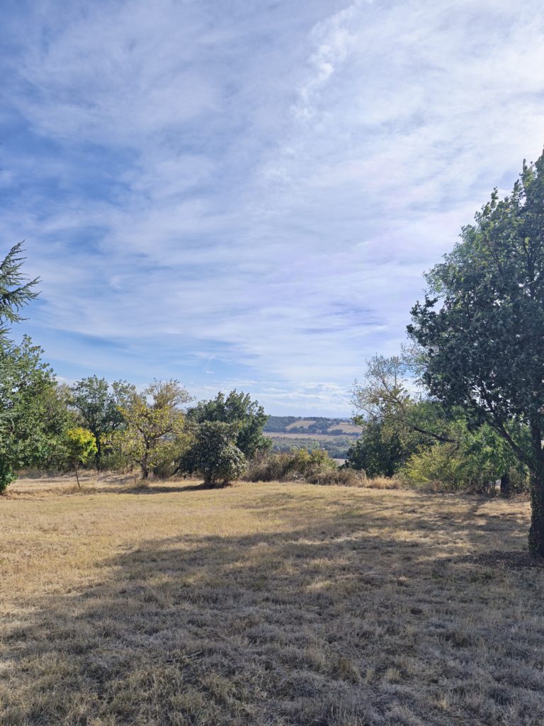 Terrain à Quint-Fonsegrives 31130 1111m2 170000 € - NIMA-26-10-02-1
