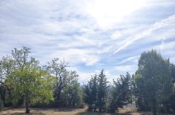 Terrain à Quint-Fonsegrives 31130 605m2 190000 € - NIMA-26-10-02-2