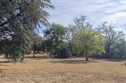 Terrain à Quint-Fonsegrives 31130 605m2 190000 € - NIMA-26-10-02-3