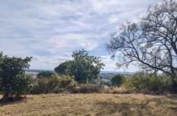 Terrain à Quint-Fonsegrives 31130 629m2 208983 € - NIMA-26-10-02-4