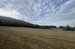 Terrain à Mezens 81800 536m2 76979 € - NIMA-26-10-22-6