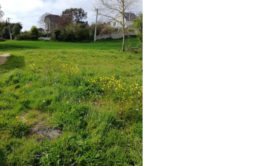 Terrain à Erquy  624m2 307000 € - ASCO-26-05-20-2