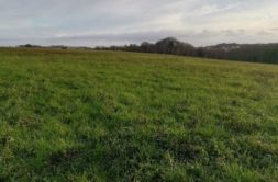 Terrain à QUIMPER 29000 500m2 85000 € - MCHAB-26-10-22-7
