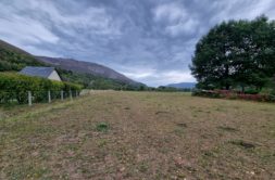 Terrain à Aucun 65400 601m2 55000 € - PHPA-26-10-22-23