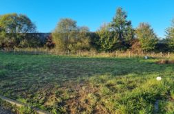 Terrain à Janze 35150 606m2 115140 € - JOKE-26-10-22-161