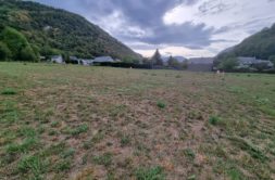 Terrain à Geu 65100 1000m2 75000 € - PHPA-26-10-23-5