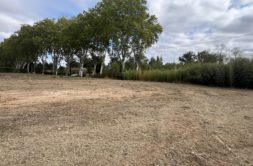 Terrain à Mezens 81800 856m2 95000 € - NIMA-26-10-25-1