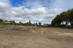 Terrain à MEZENS 81800 899m2 100000 € - NIMA-26-10-23-2