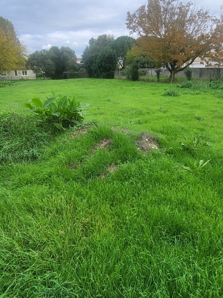 Terrain à La-Tremblade 17390 628m2 199000 € - FLBO-26-10-22-3
