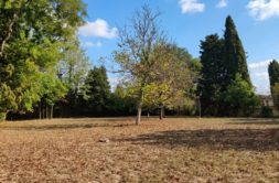 Terrain à Montastruc-la-Conseillere 31380 1000m2 130000 € - NIMA-26-10-22-1