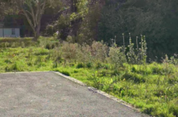 Terrain à Moelan-sur-Mer 29350 418m2 125000 € - LPEC-26-10-22-2