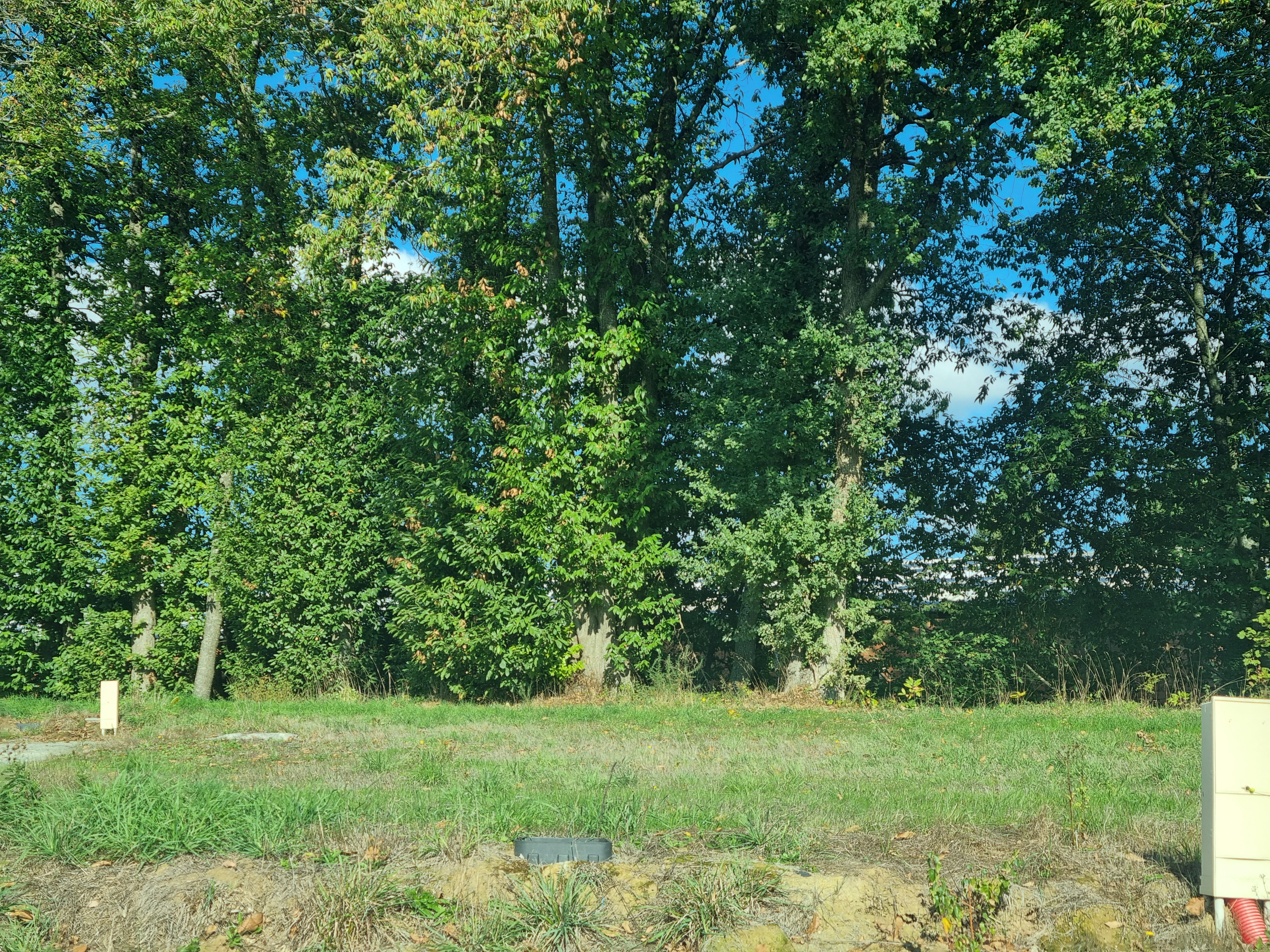 Terrain à Fougeres 35300 469m2 92200 € - JOKE-26-10-28-4