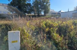 Terrain à Lecousse 35133 372m2 49050 € - JOKE-26-10-22-100
